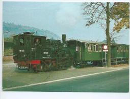 Delcampe - Allemagne.Schmalspur-Dampflokomotive In Mosbach - Mosbach