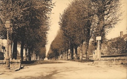 Delcampe - Beaugency (Loiret) - Le Grand Mail - Laurent Libraire - Carte Non Circulée - Beaugency