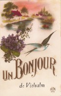 Delcampe - Un Bonjour De Vielsam - Vielsalm