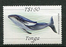 (cl.28 - P3) Tonga ** N° 726 (ref. Michel Au Dos) - Baleines  - - Tonga (1970-...)