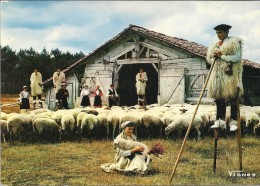 DEPT 40 - VISAGE DES LANDES - Scène Pastorale Avec LOUS BECUTS DE COUNTIS - VAN - - Castets
