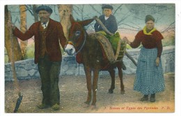 CPA - SCENES ET TYPES DES PYRENEES - Famille De Paysans Et Ane Monté - Europa