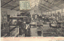 Delcampe - 1907 Morlanwelz Mariemont " Exposition "  Vue Intérieure D'un Hall - Morlanwelz