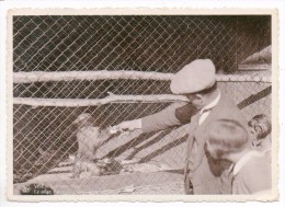 Delcampe - 30597  -  Visé  Robinson  Plage  -  Le Singe  Babou - Visé