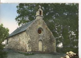 CPM : LA FORET-FOUESNANT (N° 33) : La Chapelle De PÉNITY - Non Circulée - La Forêt-Fouesnant