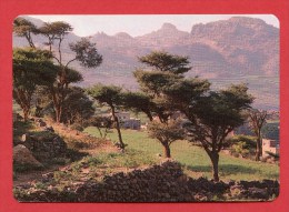 Delcampe - Yemen - Al - Mahweet - Timbre - Stamp - Jemen