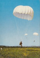 Delcampe - PARACHUTISME     /////   REF AVRIL 15 /  N° 7302 - Fallschirmspringen