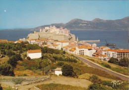Delcampe - CALVI  LOTDE 2 CPM  /////   REF AVRIL 15 /  N° 7316 - Calvi