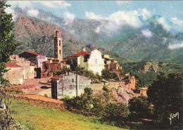 Delcampe - MONTEMAGGIORE  /////   REF AVRIL 15 /  N° 7317 - Calvi