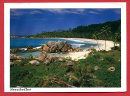 Seychelles - Anse Coco - La Digue  - Timbre Oiseau - Grand Format - Seychellen