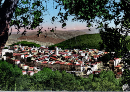 Delcampe - CP - PHOTO - VENCE - VUE GENERALE - 19 - C.A.P. - Vence