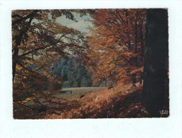 Delcampe - CPM LIMOUSIN PITTORESQUE Mélancolie De L'automne - Limousin