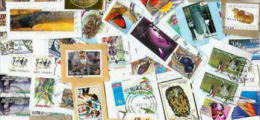 Africa-Br. Commonwealth Africa KILOWARE MissionBag 2.5 KG (5LB-8oz) +higher Values Stamp Mixtur [vrac Kilowaar Kilovara] - Lots & Kiloware (mixtures) - Min. 1000 Stamps