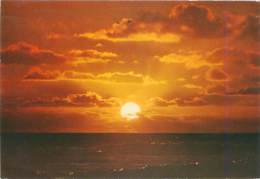 Delcampe - CPM - Un Bonjour De La Panne - De Panne