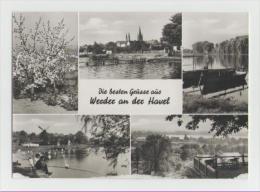 Delcampe - Werder-verschiedene Ansichten - Werder