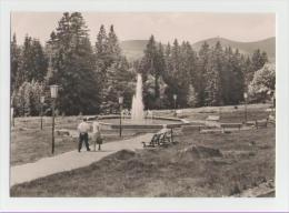 Delcampe - Schierke-Kurpark - Schierke