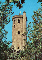 Delcampe - CP - PHOTO - MILLAU - LE BEFFROI - 5004 - NOVE - Millau