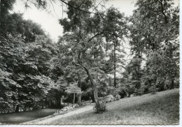Delcampe - BEAUJEU Château Des Ardillats Colonie De Vacances Compagnie Générale Transatlantique : Le Parc Animée Groupe Colons - Beaujeu