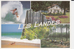 Delcampe - CPM GEOGRAPHIQUE DAPARTEMENT DES LANDES 40 SURF FORET OCEAN MAISON CHEVAUX YVON - Landkarten