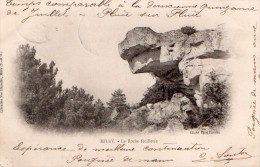 Delcampe - Cpa (91 )milly  La Roche Feuilletee - Milly La Foret