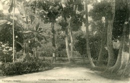 Guinée Française CONAKRI Jardin Public ...... - G - Guinée Française