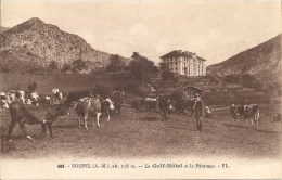 Delcampe - 06 SOSPEL  FL 408 GOLF HÔTEL PATURAGE VACHES SPLENDIDE - Sospel