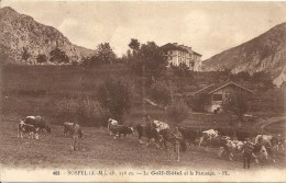 Delcampe - 06 SOSPEL  FL 400 GOLF HÔTEL PATURAGE VACHES SPLENDIDE - Sospel