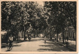 Delcampe - 83. Draguignan. Boulevard Georges Clemenceau Et Esplanade - Draguignan