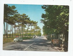 Delcampe - Cp , Automobile , Italie , MARINA DI RONCHI  , Ed : Fotocolor 5 , Articoli Vari - PKW