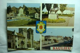 Delcampe - D 21 - Saulieu - Saulieu