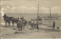 Delcampe - RETOUR DE LA PECHE . LA SORTIE DES BATEAUX SUR LA BERGE PAR UN ATTELAGE DE CHEVAUX  (trace D Acarien ,  Timbre Arrache ) - Leucate