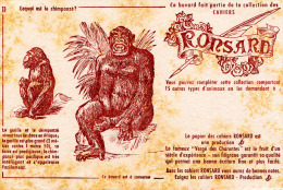 RONSARD   ELJ   N°11  VERGÉ DES CHARENTES   N°11 ANIMAUX  GORILLE ET CHIMPANSÉ - Papeterie