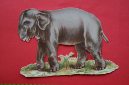 UN ELEPHANT  Découpis  Chromo CHROMO -  IMAGE Trompe Cassée - Other & Unclassified