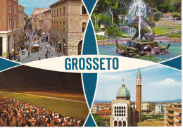 Delcampe - GROSSETO - 4 Vedute - Ippodromo - Cattedrale - Fontana Del Cinghiale - Grosseto