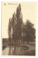 Delcampe - CPA - WESTERLO - WESTERLOO - Populieren   // - Westerlo