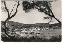 Delcampe - 83- LE  PRADET-LA  GARONNE  N2652 - Le Pradet
