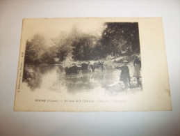 Delcampe - 2zkk - CPA - CIVRAY - Au Bord De La Charente - Bestiaux à L'abreuvoir - [86] - Vienne - Civray