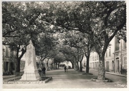 Delcampe - 83- COLLOBRIERES- PLACE  DE  L'EGLISE  N2676 - Collobrieres