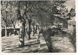 Delcampe - 83- COLLOBRIERES- LE  BOULEVARD  N2677 - Collobrieres