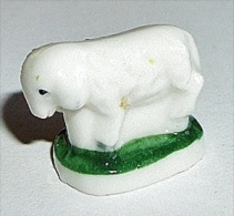 Mouton - Animaux