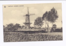 Loenhout, Sindsdien Verminkt  - Windmolen - Wuustwezel