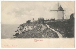Delcampe - 17 - MESCHERS - Les Moulins - Braun 57 - Meschers