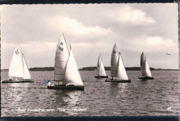 Bad Zwischenahn - Seegelboote - 1961 - Bad Zwischenahn