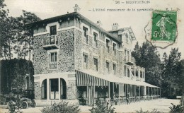 Delcampe - CPA - MONTGERON (91) - L'Hôtel-Restaurant De La Pyramide - Montgeron