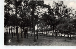 Delcampe - Geel-Bel:Malpertuus - Geel