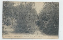 Delcampe - Saint-Leu-la-Forêt (95) : Le Pont Du Diable Prise De La Clairière   En 1913 (animé) PF. - Taverny