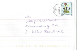 8572 Bärnbach Enzian Edekweiss Almrausch 2010 - Lettres & Documents