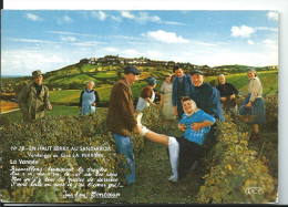 Delcampe - Vendanges En Berry Et Sancerrois - Caves Du Clos La Perrière Scène Grivoise Dans Les Vignes , Cpm Réo Non Voyagée - Weinberge