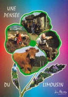 Delcampe - CPM Une Pensée Du Limousin - Limousin
