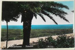 Delcampe - CAMPOBASSO - Campomarino - Belvedere - Campobasso